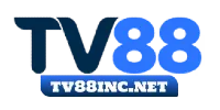 Logo Visa